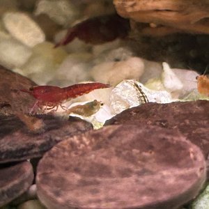 IMG_002995.jpg