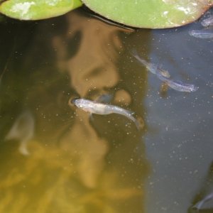 IMG_7403.JPG