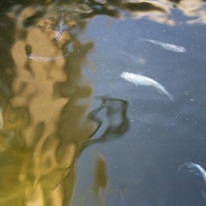 IMG_7404.JPG