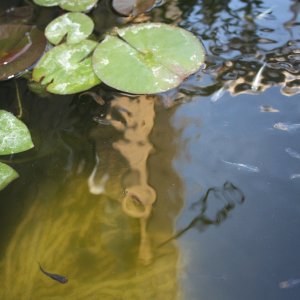 IMG_7407.JPG