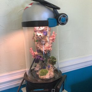 Scuba tank aquarium.jpg