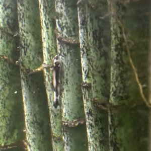 IMG_8035.jpeg