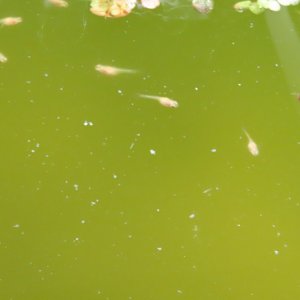 IMG_6487.JPG