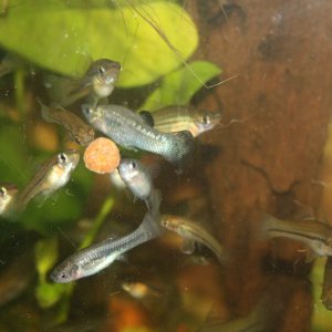 IMG_3554.JPG