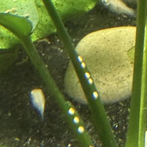 IMG_1046.jpeg