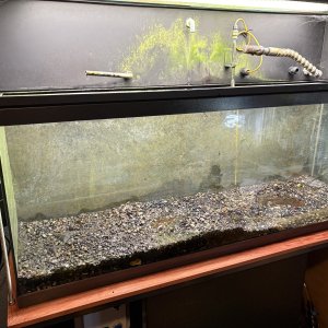 old tank.JPG