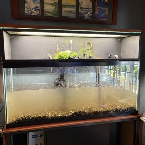 new tank.JPG