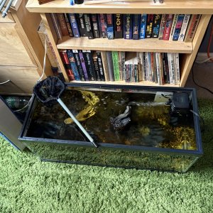 temp tank.JPG