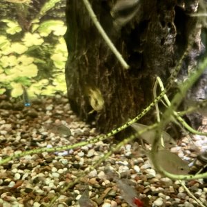 IMG_8056.jpeg