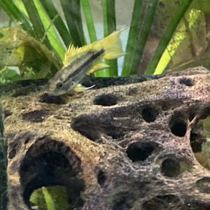 IMG_1733.jpeg