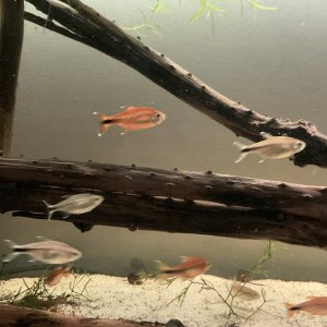 IMG_1783.jpg