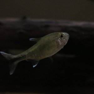 IMG_7794[2].JPG
