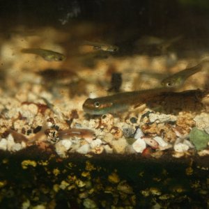 IMG_7498.JPG