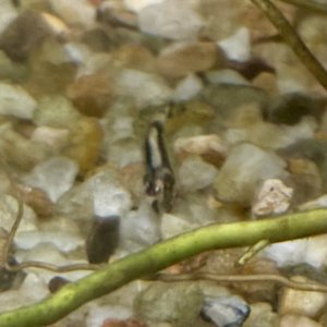 IMG_8079.jpeg