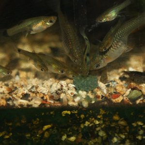 IMG_7605.JPG