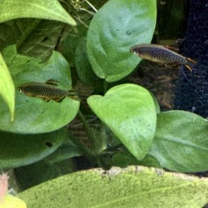 IMG_1940.jpeg