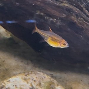 IMG_3793.jpeg