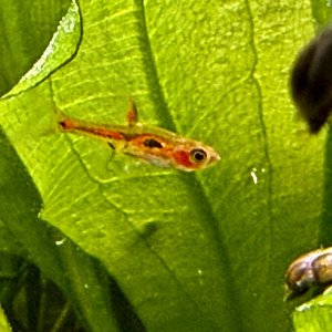 IMG_2024.jpeg