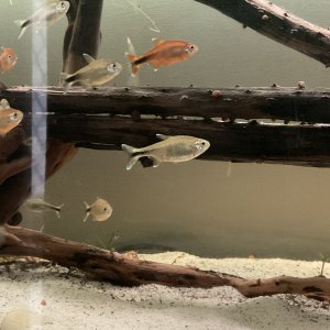 IMG_1866.jpg