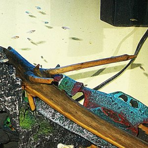 DSCN5464.JPG