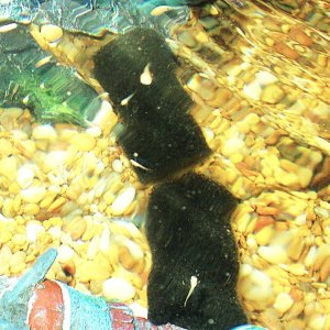 DSCN5465.JPG