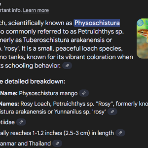 1750362237499.png