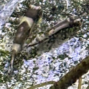 IMG_8124.jpeg