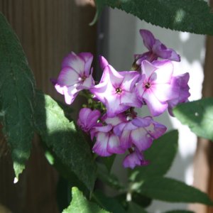 IMG_7748.JPG