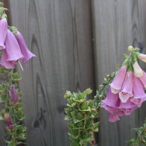 IMG_7758.JPG