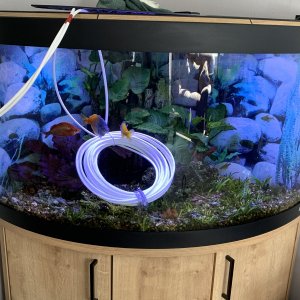 Tankcool.jpg