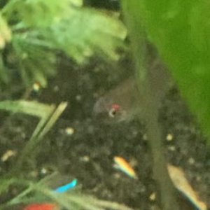 IMG_8914.jpeg