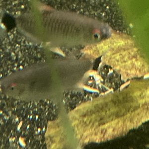 IMG_8953.jpeg