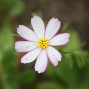 IMG_7854.JPG