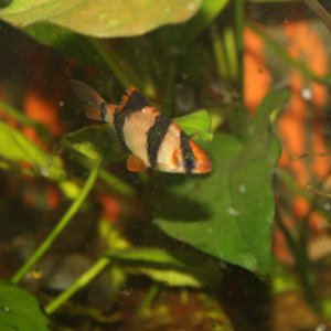 IMG_7882.JPG
