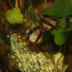 IMG_7883.JPG