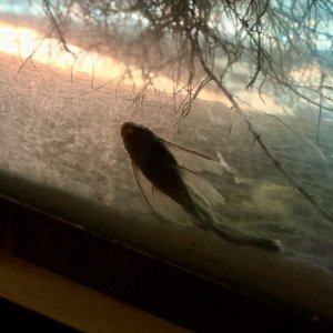 IMG_8167.jpeg