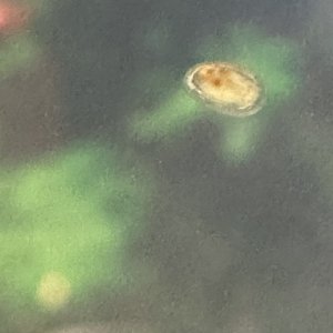 IMG_5455.jpeg
