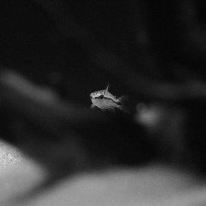 IMG_8128[2].JPG