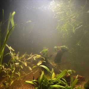 IMG_7811.jpeg