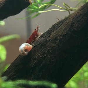 IMG_7831.jpeg
