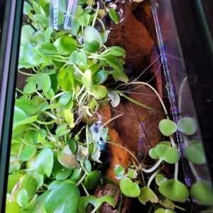 20l.jpg