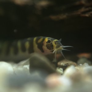 IMG_7957.jpeg