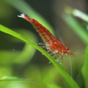 IMG_7962.jpeg