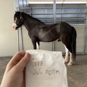 IMG_1873.jpeg
