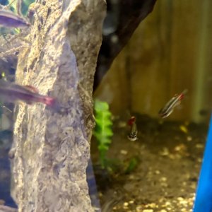 IMG_8227.jpeg