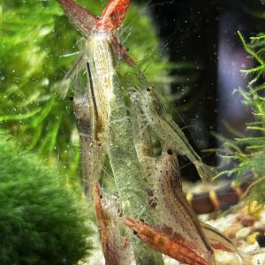 IMG_8015.jpeg
