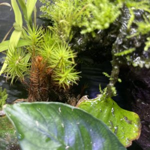 IMG_1959.jpeg