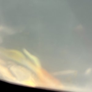 IMG_8250.jpeg