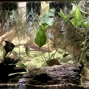 IMG_8258.jpeg