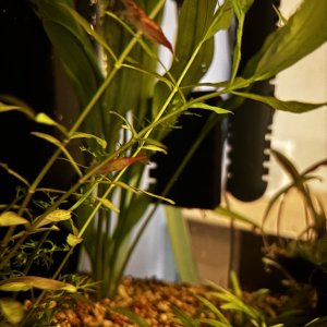 IMG_8081.jpeg